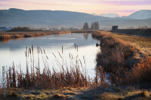 Fototapeta Naklejka Na Ścianę i Meble -  Slough at the Skagit Wildlife Area, Fir Island Farm Reserve. With over 200 acres of estuary in this protected zone, this birding habitat is intended to protect many animals passing through over winter