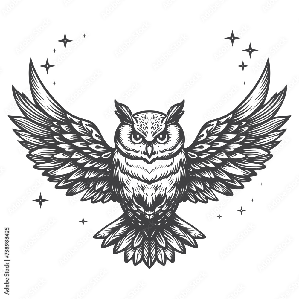 Obraz premium eagle owl illustration