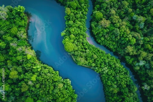 Aerial view of  winding  river
