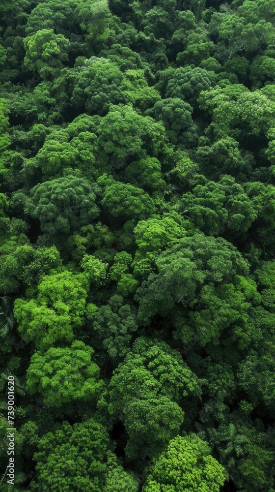 Green forest background . Vertical background 