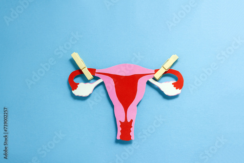 Paper сut made anatomical structure of female uterus with clothes peg on fallopian tubes. Female sterilization concept. Selective focus, copy space