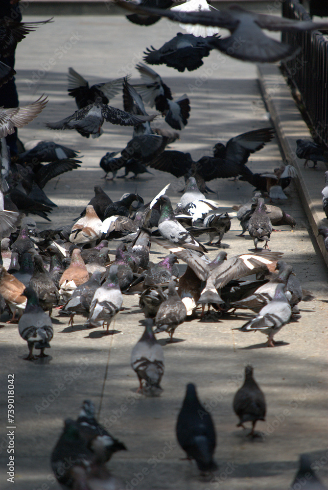 Fototapeta premium Fuentes de plazas de nuestras ciudades.