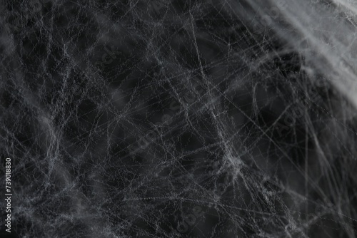 Creepy white cobweb on dark background  closeup