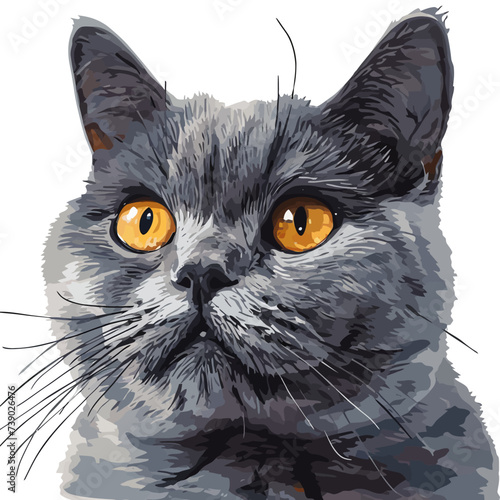 Siberian kitten sitting on white background. Hand drawn vector illustration.