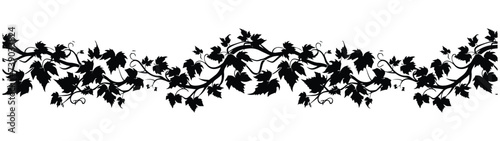 silhouette of grape vines leaf on transparent background. continuous pattern of vitis leaves vines. natural border design vector. photo