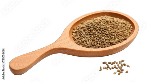 A wooden spoon filled with green coriander seeds.