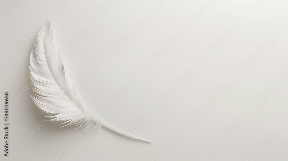 Fototapeta premium White feather on white paper texture minimalist background
