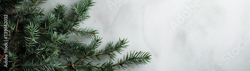 Fresh pine branches with vibrant green needles laid out on a clean white backdrop  creating a natural and minimalist aesthetic. Perfect for simple poster layout.