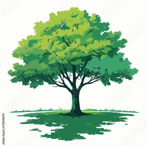 green tree isolated on white