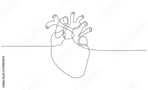 one continuous line art of medical heart. real heart outline. editable stroke.