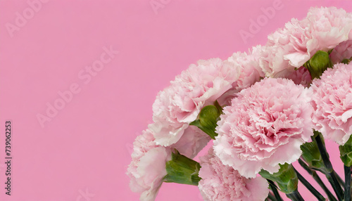 ピンク色の背景へカーネーションの花を並べフラワーフレームを作った画像6