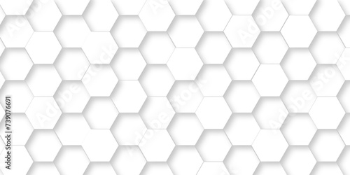 Fototapeta Naklejka Na Ścianę i Meble -  Abstract modern Background with white lines 3d Hexagonal structure futuristic white background and Embossed Hexagon , honeycomb white Background ,light and shadow ,Vector.