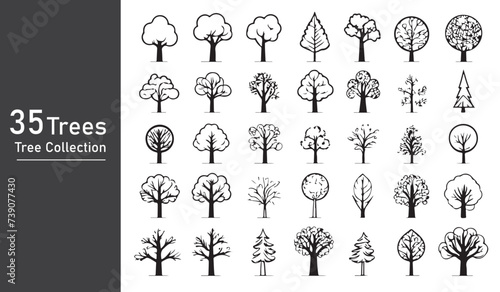 silhouette tree line drawing set, Side view, set of graphics trees elements outline symbol photo
