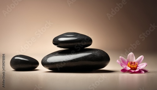  Elegance in simplicity - Rocks and a flower in harmony
