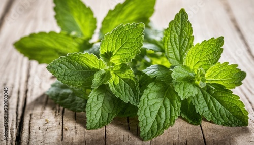  Fresh and vibrant mint leaves, ready to add a burst of flavor to your culinary creations