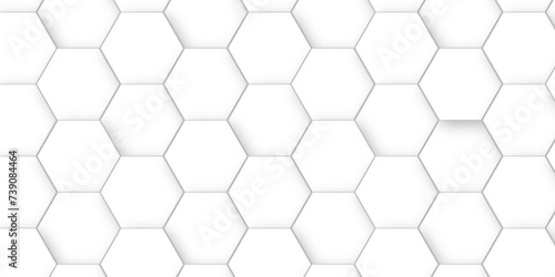 Abstract modern Background with white lines 3d Hexagonal structure futuristic white background. Modern minimal Embossed Hexagon   honeycomb white Background  light and shadow  Vector.