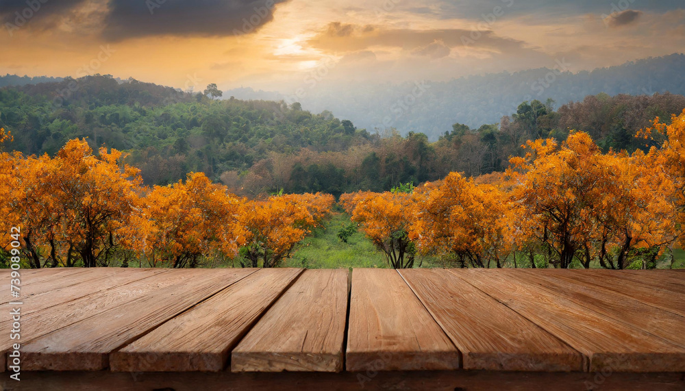 Rural Retreat: Wood Table with Orange Field Background for Display Rural Retreat: Wood Table with Orange Field Background for Display