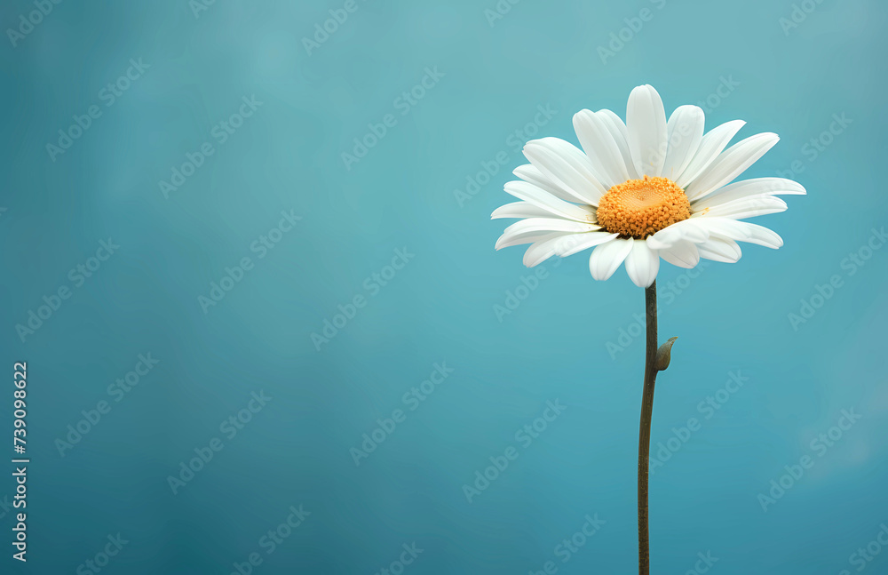 Minimalist Desktop Wallpaper, Laptop Wallpaper, Desktop Background