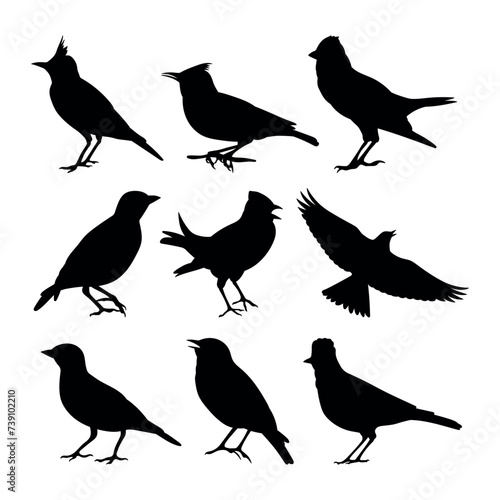 Lark bird silhouettes stencil templates