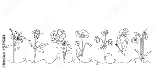 One line flowers border. Outline different botanical elements. Blossoms frame for cards and posters. Spring and summer decoration. Vector isolated black floral objects on white background illustration