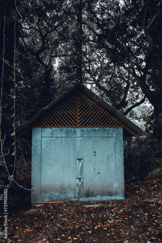 Spooky blue hut in the middle of the tropical rainforest. Abandoned shack.