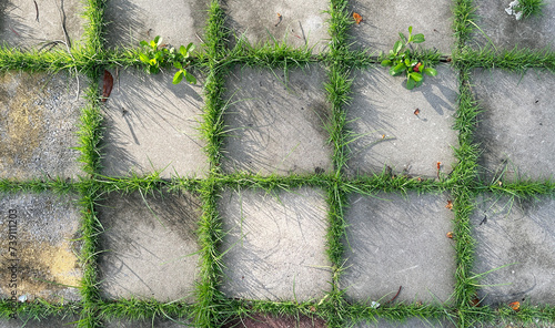 Top view square block cement concrete green grass pattern parking. Geometric concrete Eco parking floor texture background. Eco-friendly parking of concrete cells and turf grass.