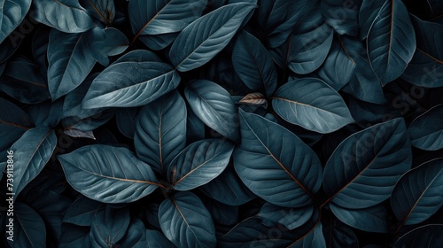 Textures of abstract black leaves for tropical leaf background. © Onchira