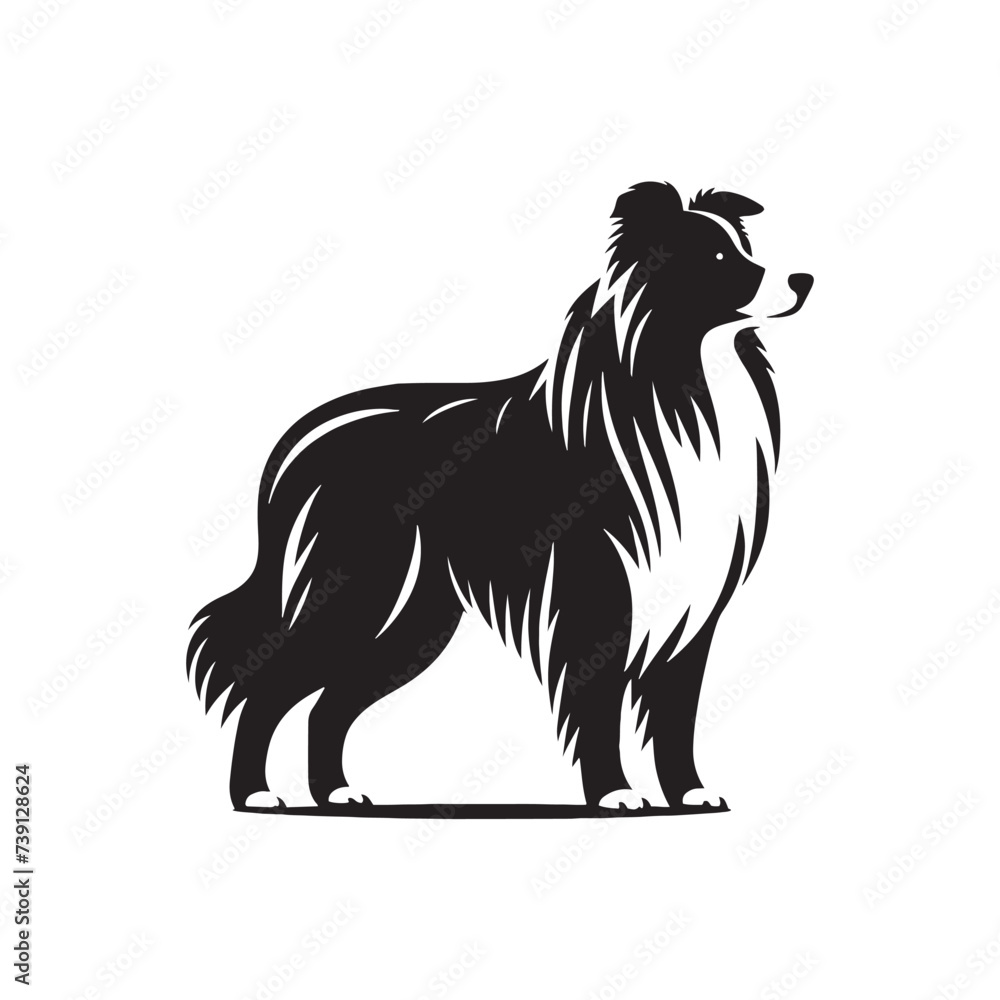 Obraz premium Celestial Childhood: Border Collie Silhouette in Cosmic Playfulness - Border Collie Illustration - Border Collie Vector Stock 