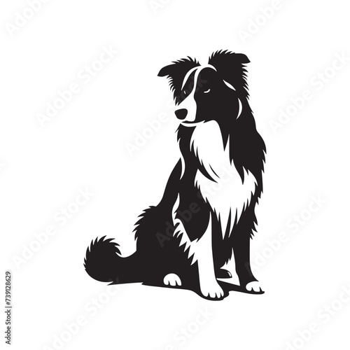 Dreamscape Drift: Floating Border Collie Silhouette in Starry Night Reverie - Border Collie Illustration - Border Collie Vector Stock
