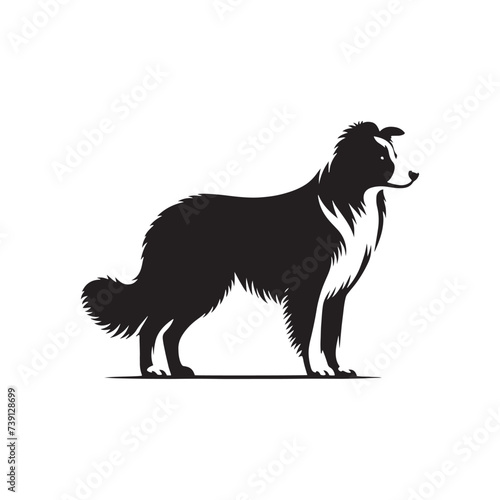 Nebula Nostalgia: Border Collie Silhouette Amidst Astral Beauty - Border Collie Illustration - Border Collie Vector Stock
