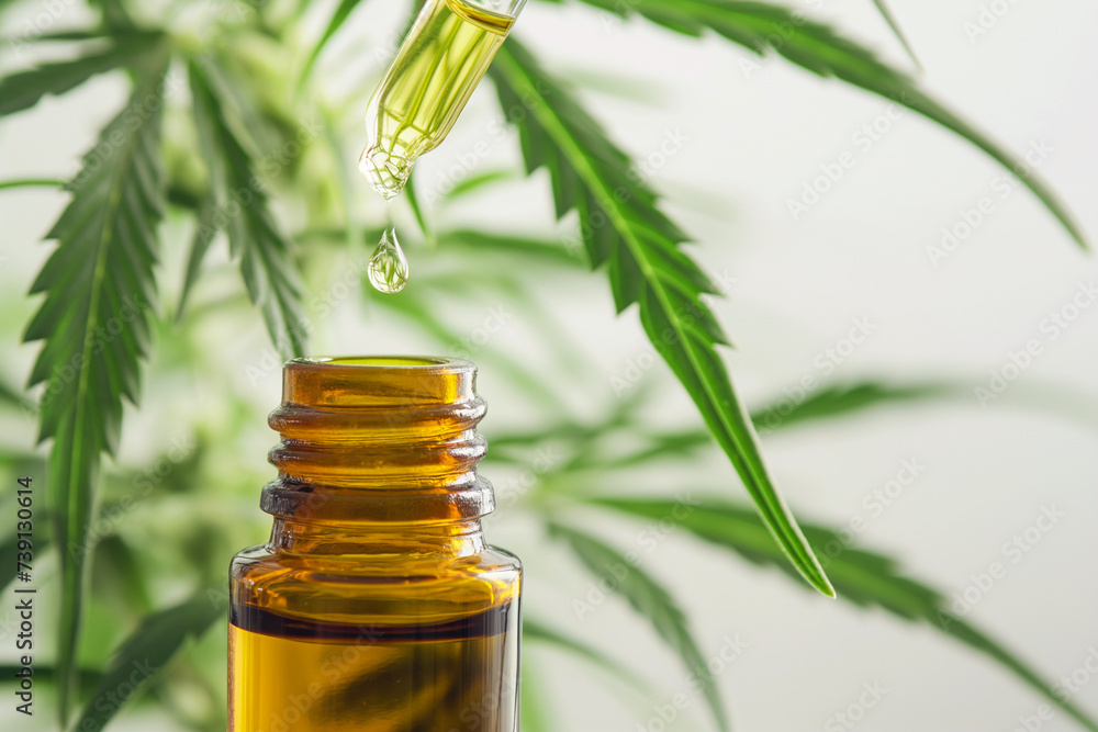 CBD Hemp oil, droplet of Cannabis oil against Marijuana plant. Medical marijuana, alternative medicine. Oil extracts in a bottle, selective focus CBD Hemp oil, droplet of Cannabis oil against Marijuana plant. Medical marijuana, alternative medicine. Oil extracts in a bottle, selective focus