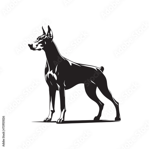 Noble Guardian  Doberman Pinscher Silhouette Standing Proud - Doberman Pinscher Illustration - Doberman Pinscher Dog Vector Stock 