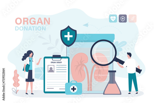 Team of transplant doctors and surgeons evaluate quality and health of donor kidneys for transplantation into patient. Donor human organs anatomical healthy kidney