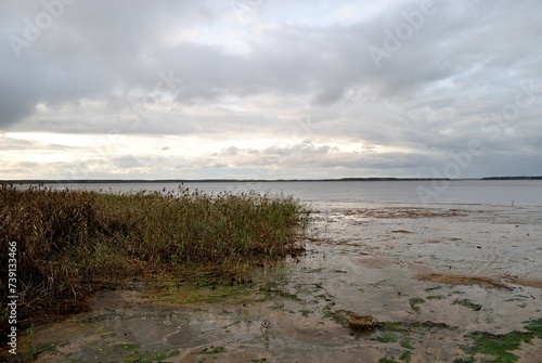 Summer fishing on the Rybinsk reservoir  nature.