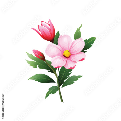 pink flower vector illustration