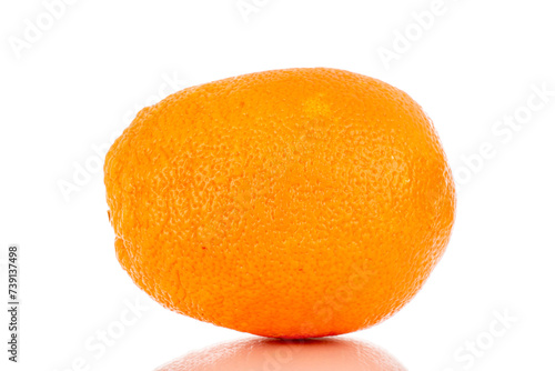 One ripe orange, macro, isolated on white background.