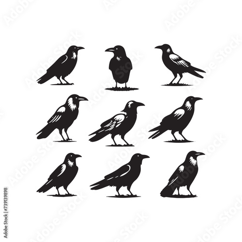Shadowed Whispers: Mysterious Crow Silhouette Embracing the Dark - Crow Illustration Stock - Crow Vector 
