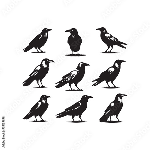 Shadowed Whispers: Mysterious Crow Silhouette Embracing the Dark - Crow Illustration Stock - Crow Vector
