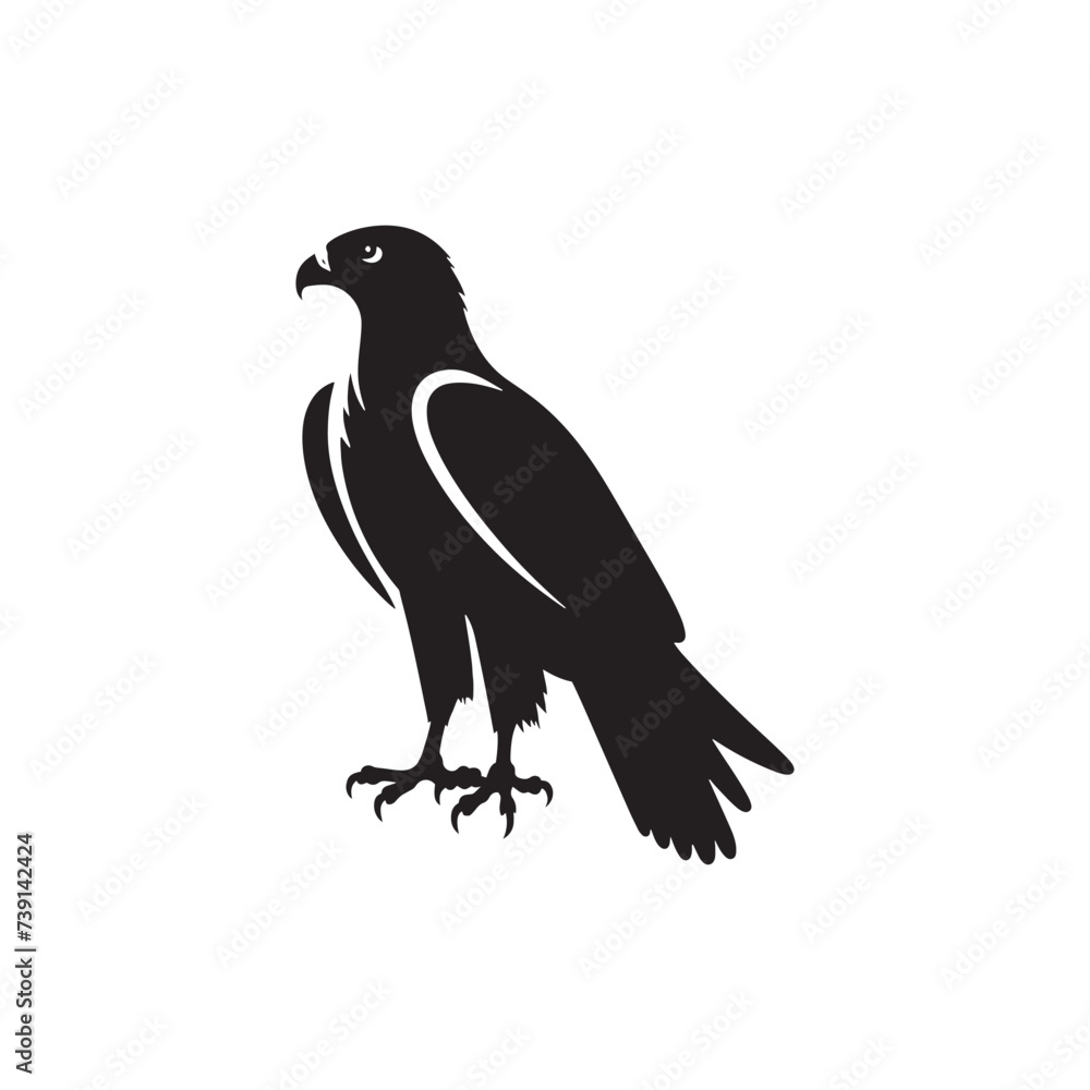 Fototapeta premium Galactic Grace: Hawk Silhouette in Cosmic Embrace with Hawk Vector 