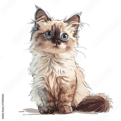Persian cat with blue eyes sitting on white background. Vector illustration