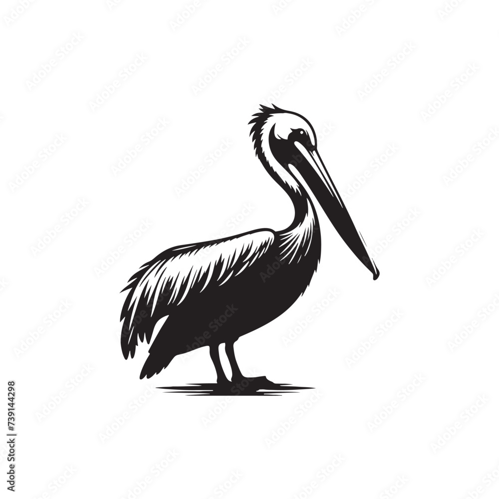 Fototapeta premium Silhouetted Majesty: Stately Pelican Silhouette at Evening - Pelican Illustration 