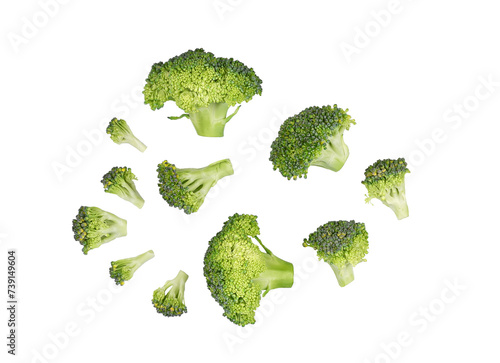 Piece of broccoli isolated on transparent background. PNG
