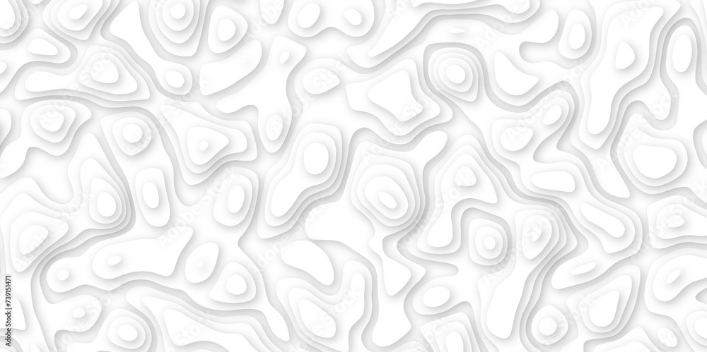 Abstract geometric layered curve line white background. 3d white papercut topography relief. Cover layout template. paper cut topography soft background banner texture. light liquid wave illustration. Abstract geometric layered curve line white background. 3d white papercut topography relief. Cover layout template. paper cut topography soft background banner texture. light liquid wave illustration.