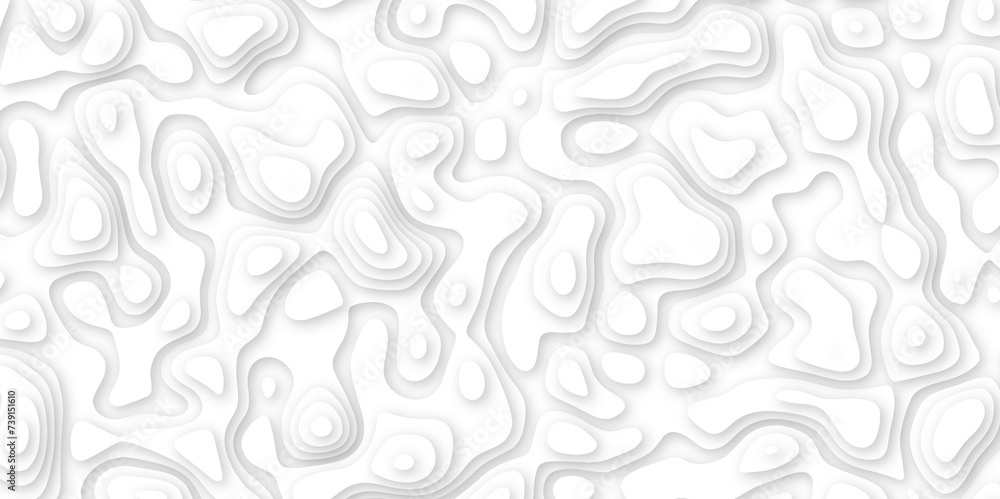 Abstract geometric layered curve line white background. 3d white papercut topography relief. Cover layout template. paper cut topography soft background banner texture. light liquid wave illustration.