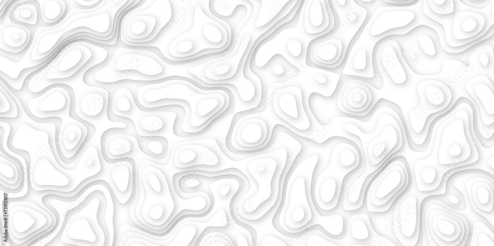 Abstract geometric layered curve line white background. 3d white papercut topography relief. Cover layout template. paper cut topography soft background banner texture. light liquid wave illustration Abstract geometric layered curve line white background. 3d white papercut topography relief. Cover layout template. paper cut topography soft background banner texture. light liquid wave illustration