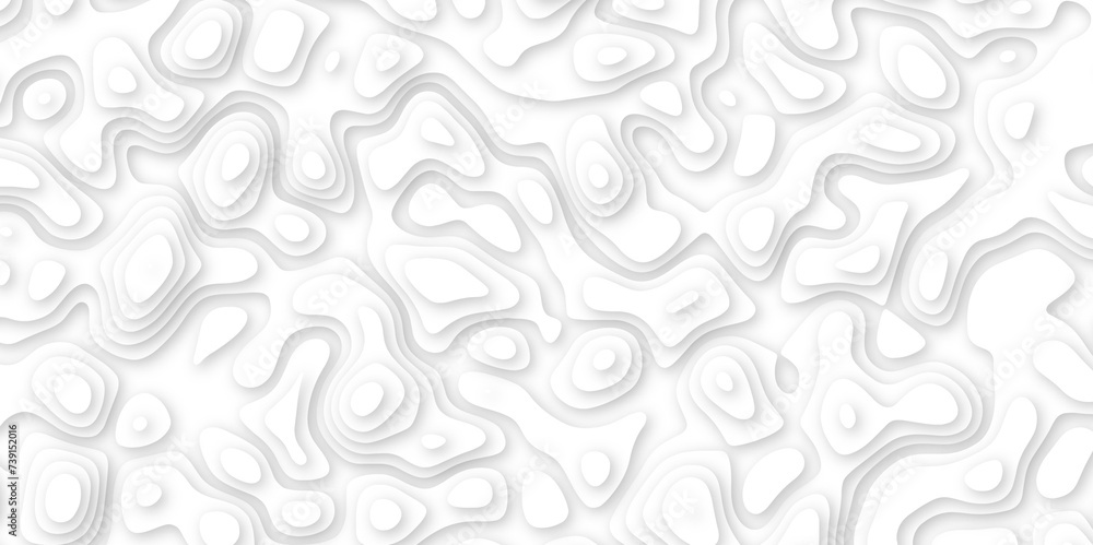 Abstract geometric layered curve line white background. 3d white papercut topography relief. Cover layout template. paper cut topography soft background banner texture. light liquid wave illustration Abstract geometric layered curve line white background. 3d white papercut topography relief. Cover layout template. paper cut topography soft background banner texture. light liquid wave illustration