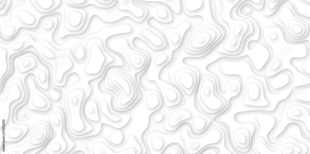  Abstract geometric layered curve line white background. 3d white papercut topography relief. Cover layout template. paper cut topography soft background banner texture. light liquid wave illustration