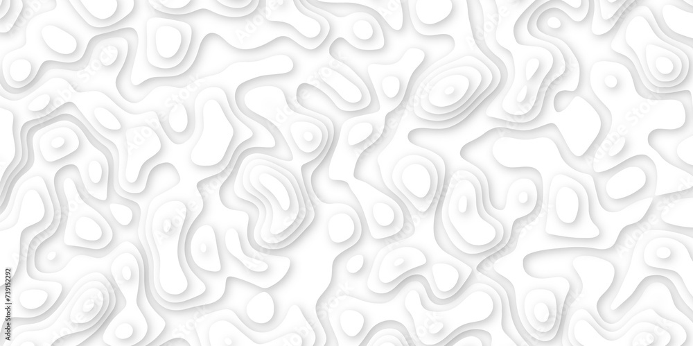 Abstract geometric layered curve line white background. 3d white papercut topography relief. Cover layout template. paper cut topography soft background banner texture. light liquid wave illustration Abstract geometric layered curve line white background. 3d white papercut topography relief. Cover layout template. paper cut topography soft background banner texture. light liquid wave illustration