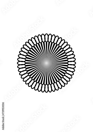 black rosette in the shape of a flower with 48 narrow lanceolate petals, abstract modern design, graphic, silhouette 