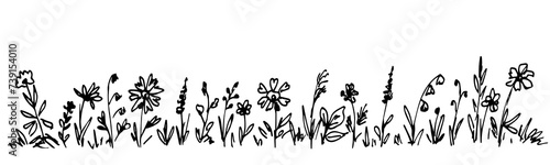 Wallpaper Mural Long floral border garland. Wildflowers and herbs, blooming lawn. Nature and vegetation. Simple hand-drawn vector sketch in ink. Torontodigital.ca